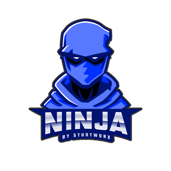 Stuntworx Ninja Kids